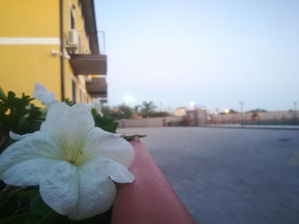 I Colori Dell'Etna Bed & Breakfast San Giovanni La Punta Bagian luar foto